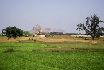 Fields near Bodhgaya.
